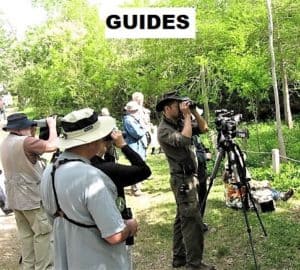Find a guide for you next birding trip.