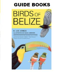 Read reviews of bird guide books and leave your own review.