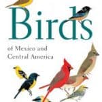 Princeton Guide by Ber Van Perol. 2006.