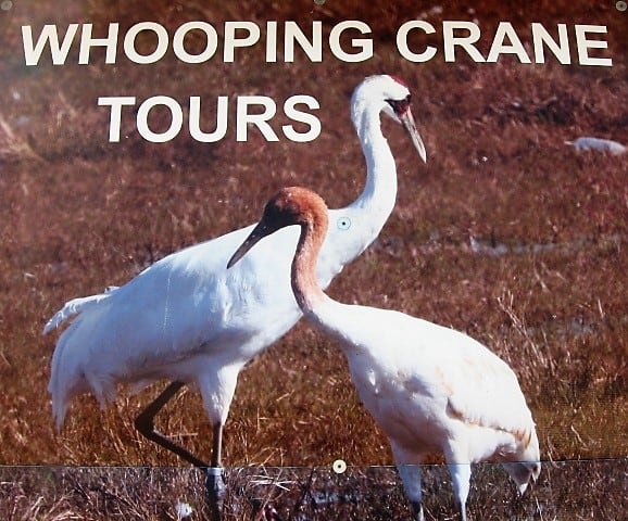 Aransas National Wildlife Refuge, Rockport, Texas
