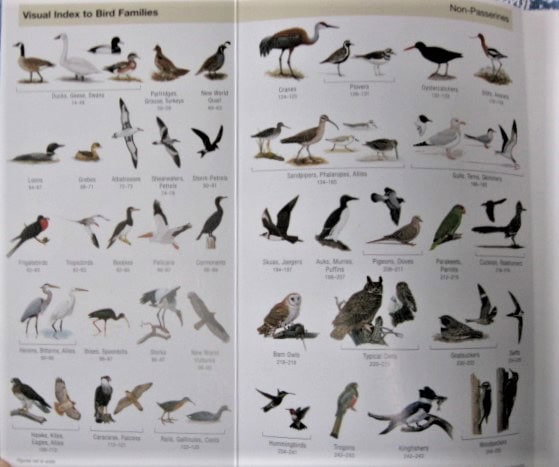 Guidebooks