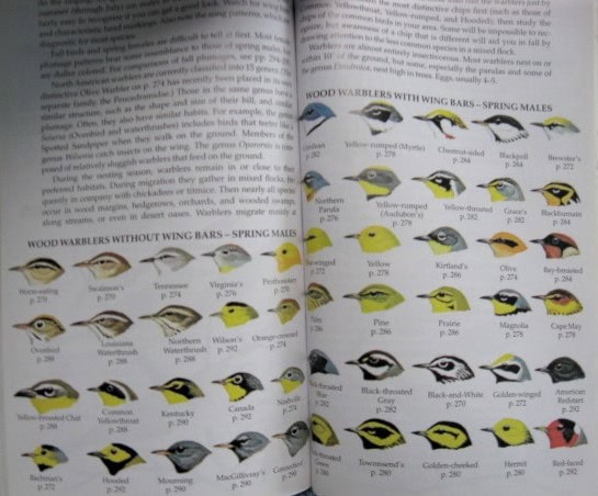Guidebooks