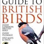 BTO Collins Guide to British Birds by Paul Streery & Paul Stancliffe 2015
