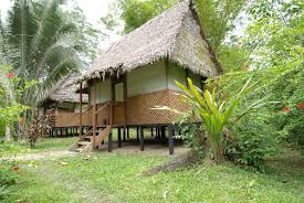 Manu Wildlife Center