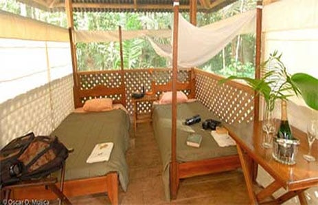 Manu Tented Camp