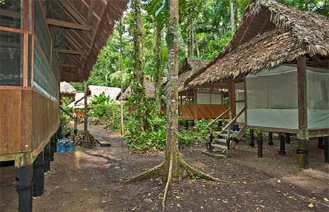 Manu Tented Camp